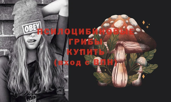 первитин Протвино