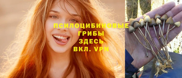 прущие крисы Абдулино