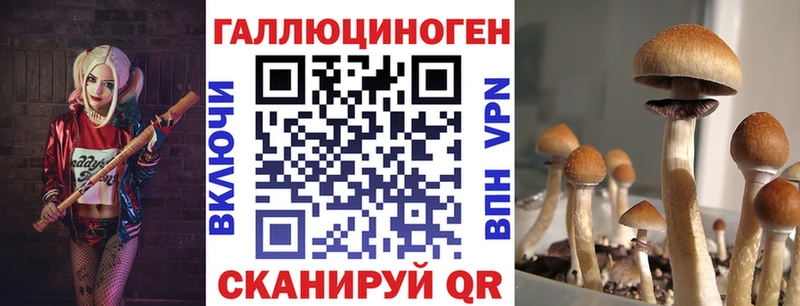 Галлюциногенные грибы MAGIC MUSHROOMS  даркнет сайт  Нариманов 